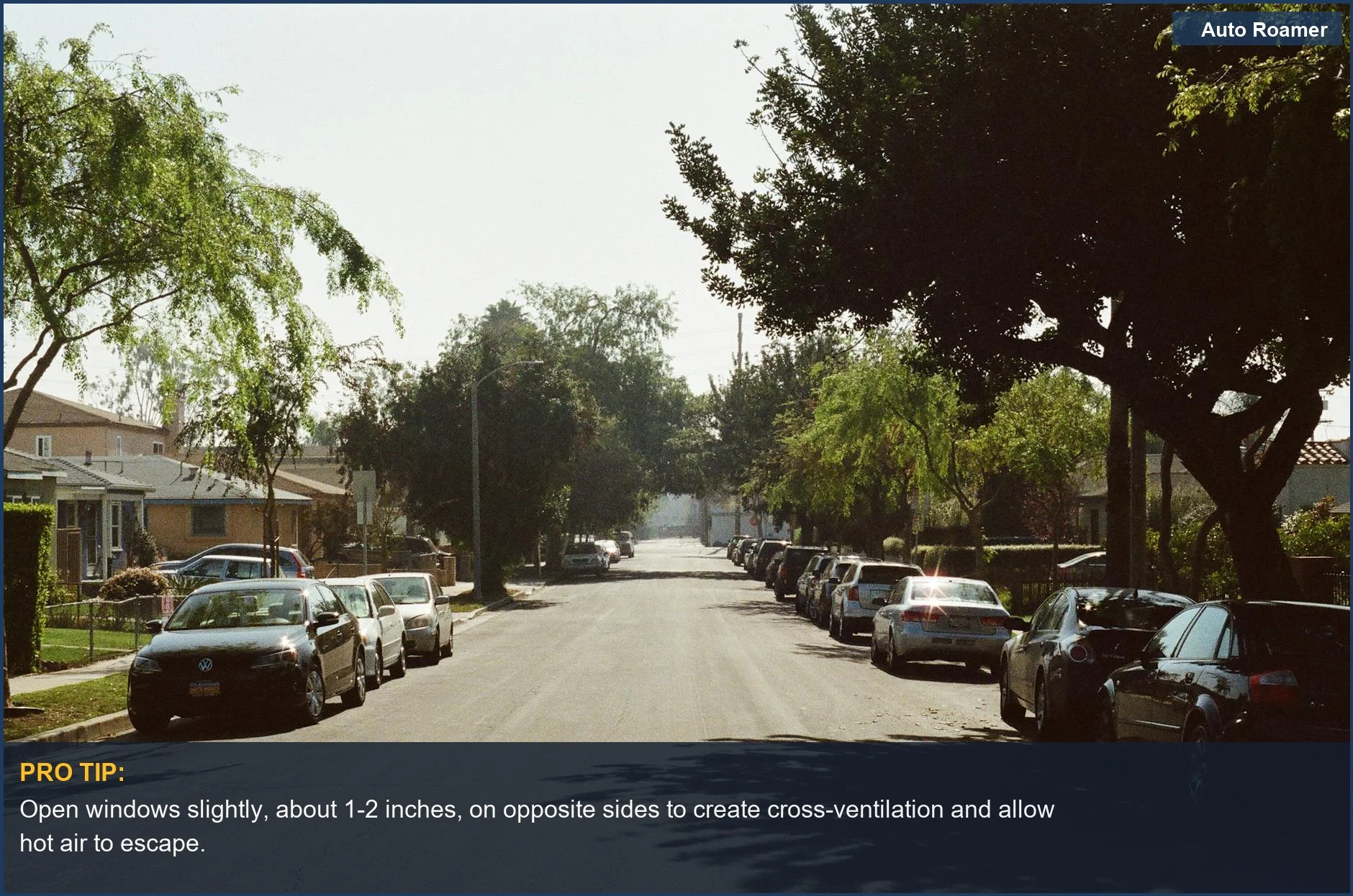 Cars parked along a peaceful suburban street with tree-lined sidewalks, showing common scenarios for how to keep your car cool while parked in summer.