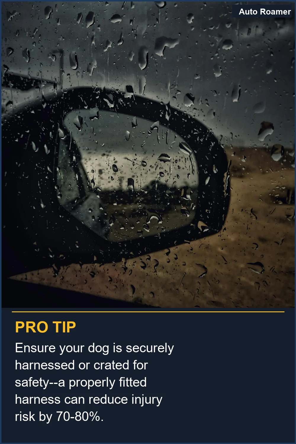 Ensure your dog is securely harnessed or crated for safety--a properly fitted harness can reduce injury risk by 70-80%.