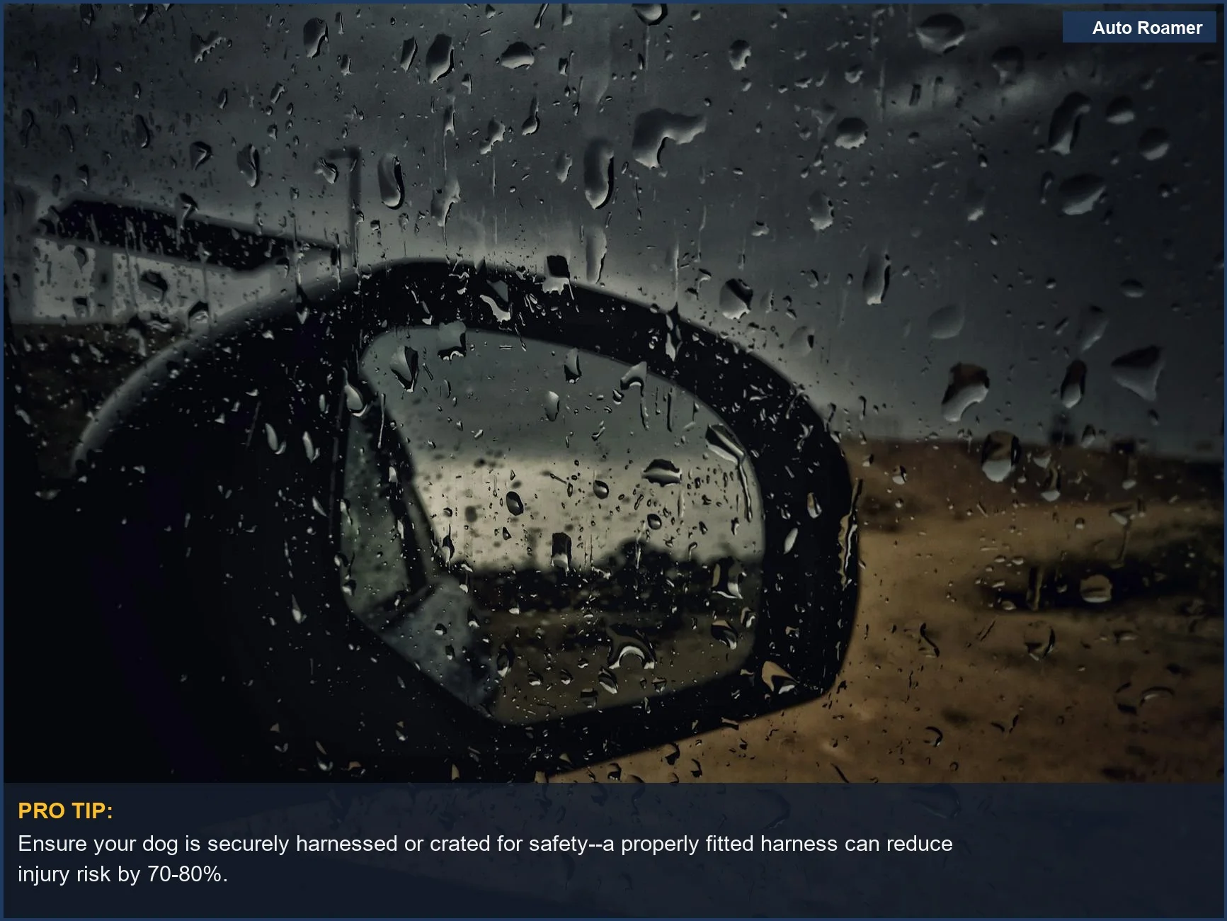 This photo features a car side mirror with raindrops, emphasizing the stormy weather and how to keep your dog calm during thunderstorms in the car.