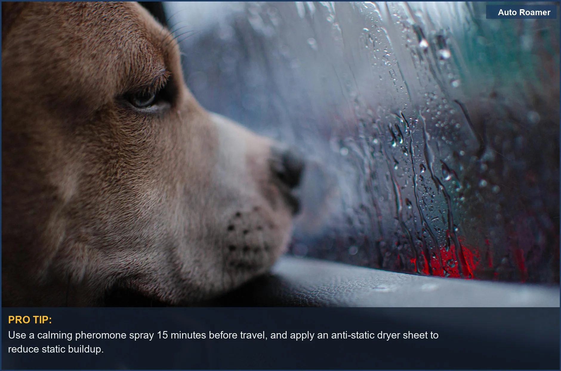 Pictured here is a dog looking out a rain-streaked car window, pondering how to keep dog calm during car storms.
