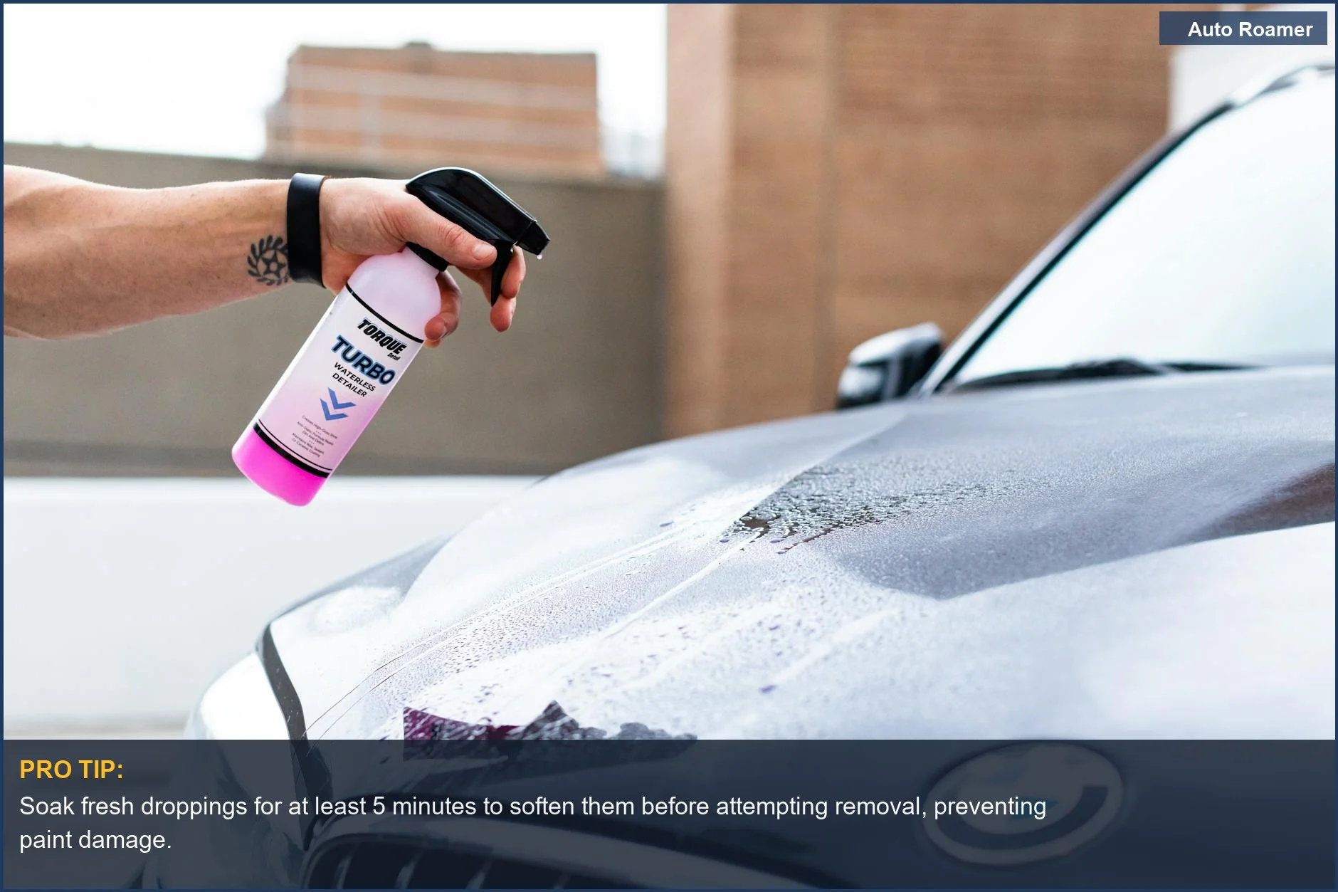 Close-up of a hand gently spraying a wet car hood to begin removing bird droppings without scratching paint.