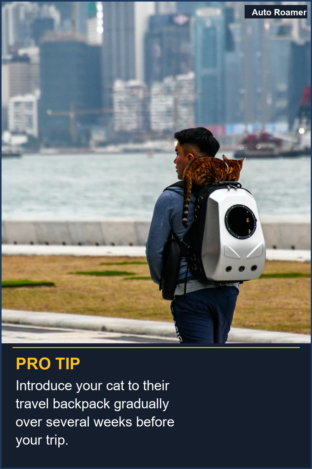 Introduce your cat to their travel backpack gradually over several weeks before your trip.
