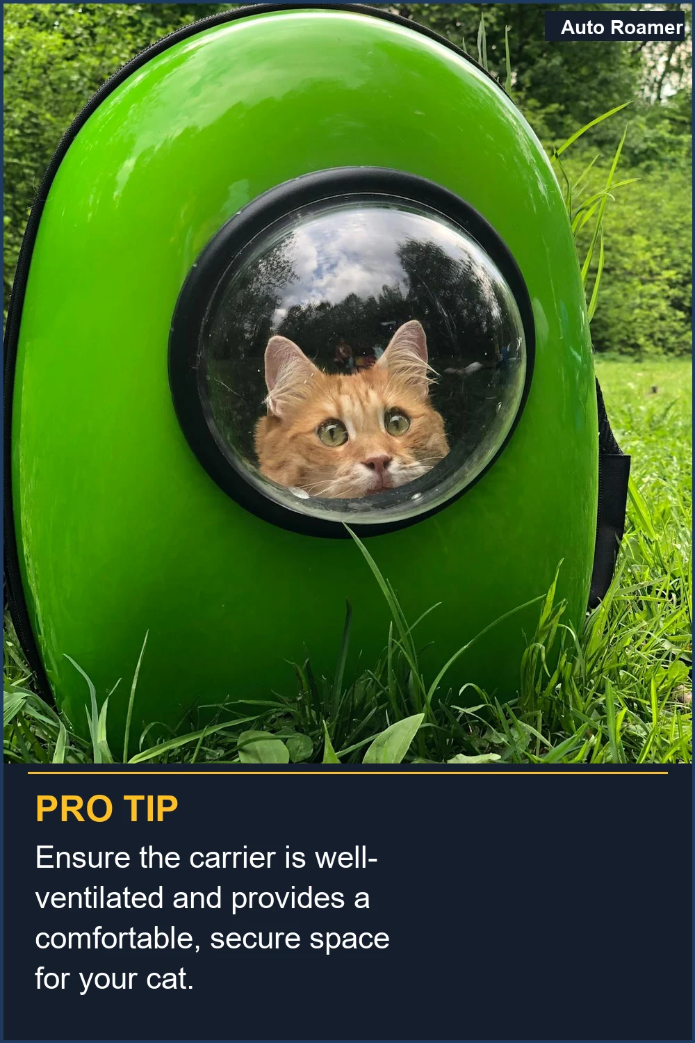 Ensure the carrier is well-ventilated and provides a comfortable, secure space for your cat.