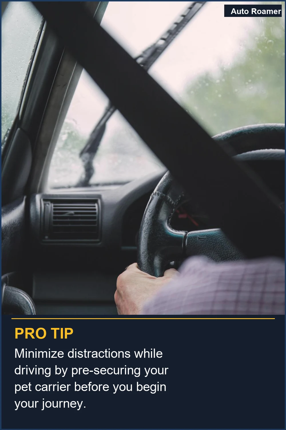 Minimize distractions while driving by pre-securing your pet carrier before you begin your journey.