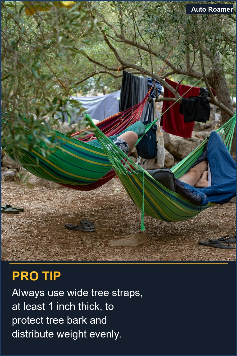 Always use wide tree straps, at least 1 inch thick, to protect tree bark and distribute weight evenly.