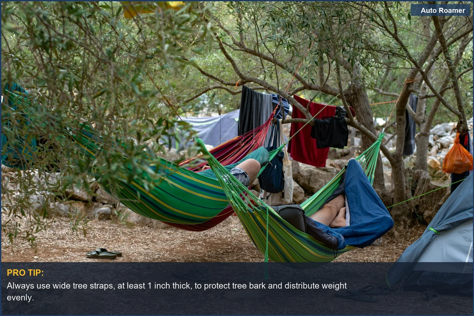 Campers enjoying a safe hammock setup using wide tree straps for car camping.