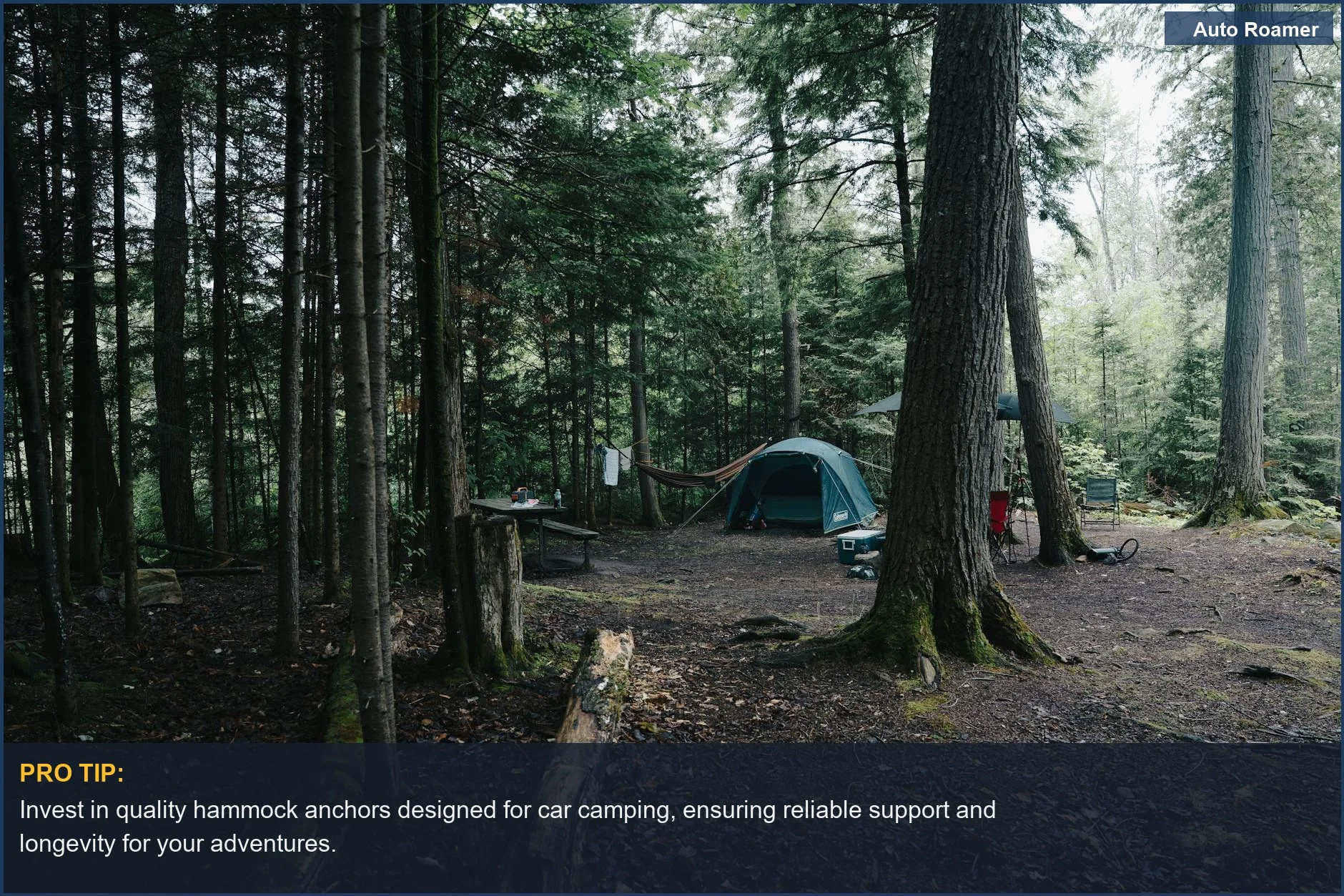 Peaceful forest campsite with a tent and hammock under tall trees for car camping.