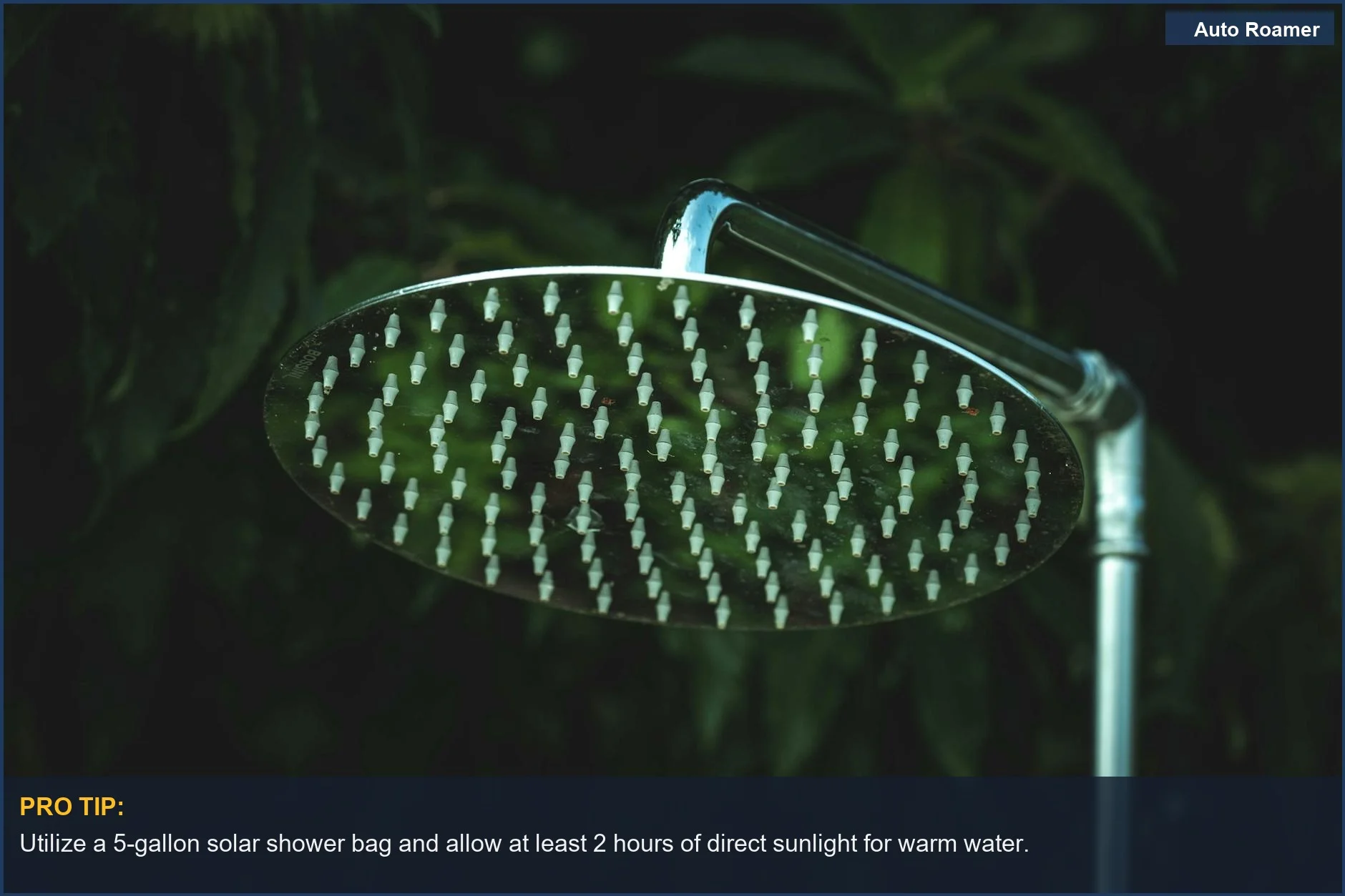 Close-up of a silver shower head against lush green leaves, highlighting an outdoor shower option.