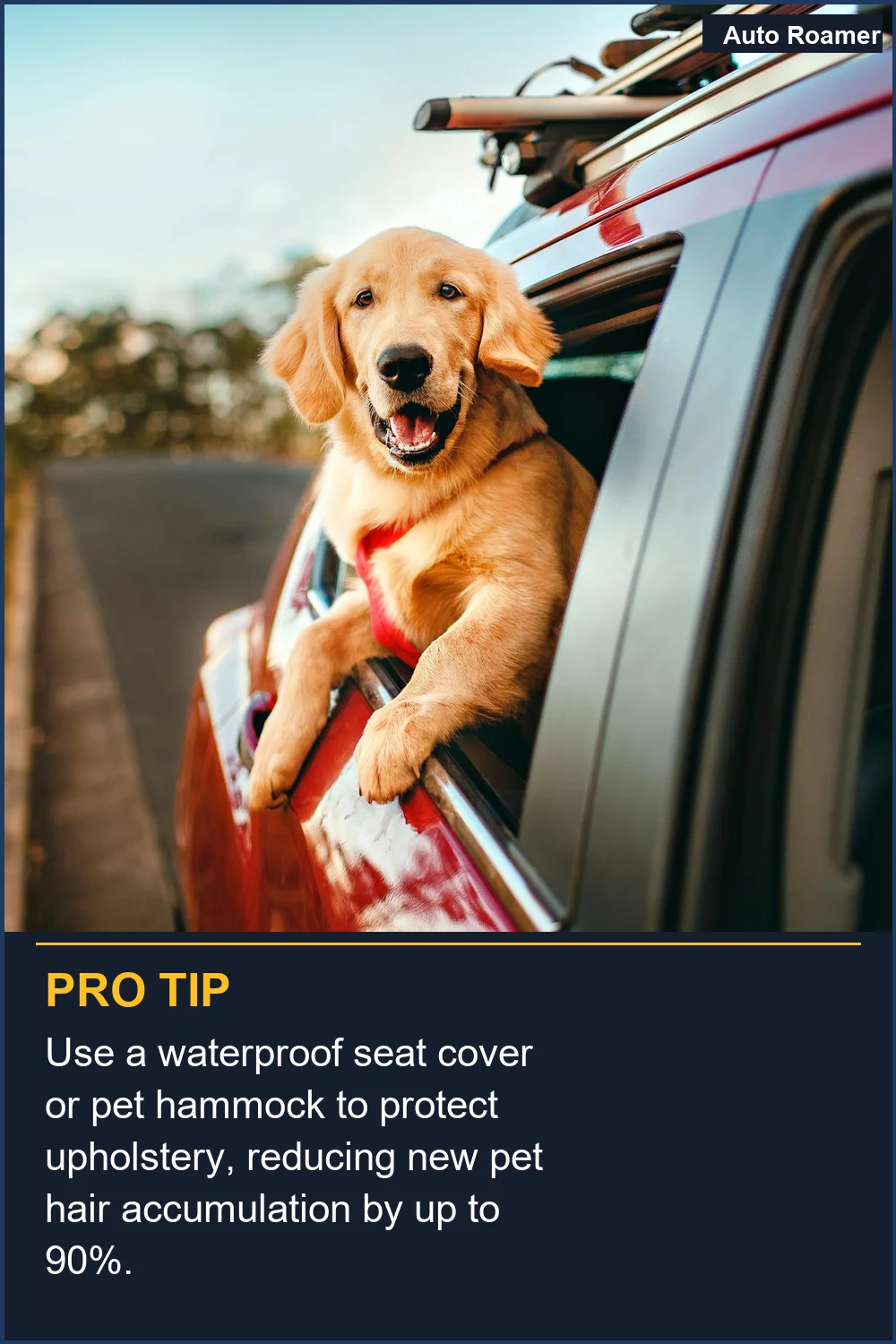 Ensure your dog is secured with a pet seatbelt for safety and comfort during trips.