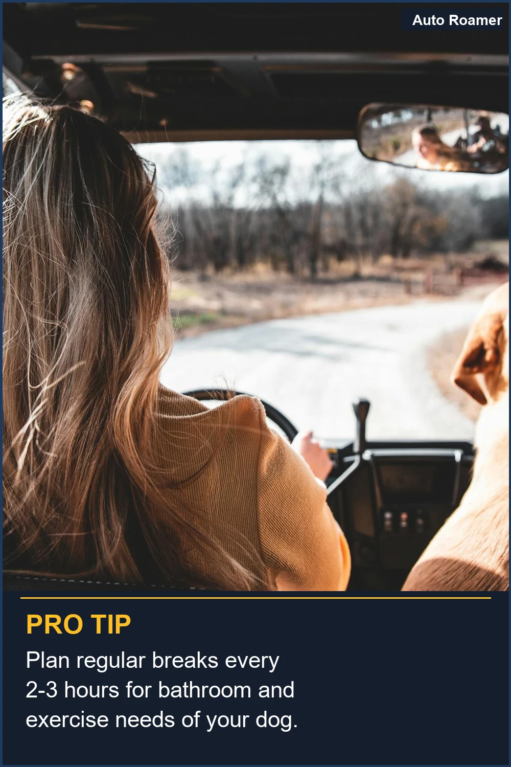 Plan regular breaks every 2-3 hours for bathroom and exercise needs of your dog.