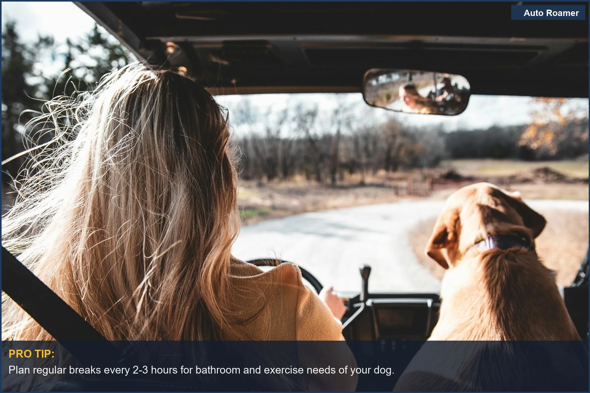 Woman driving with her dog on a picturesque country road during a road trip.