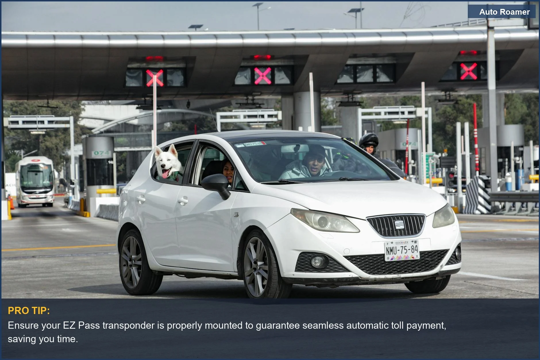 White car with dog passing through a toll booth, illustrating how to use EZ Pass on your road trip.