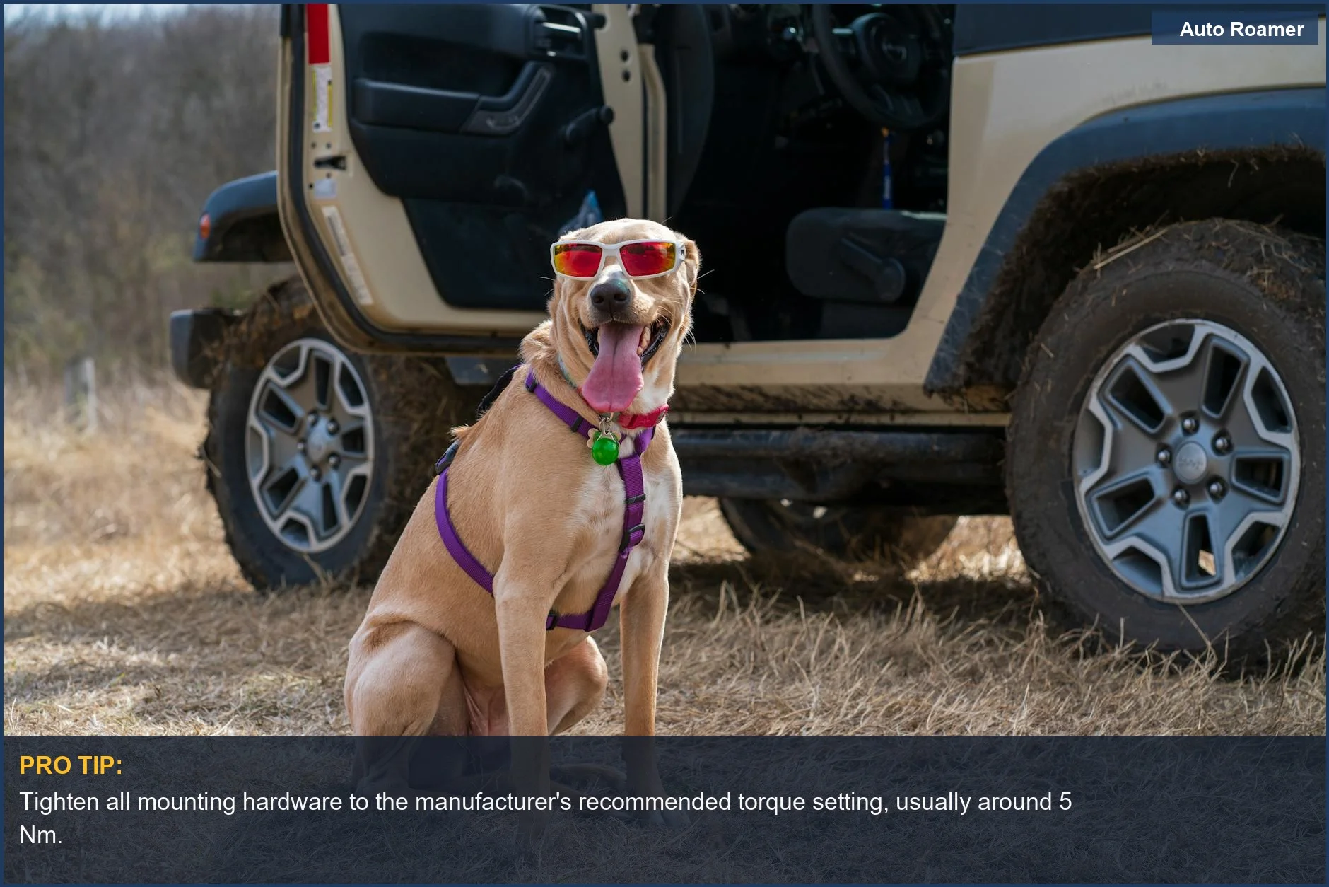 Happy dog in sunglasses next to an off-road vehicle, illustrating easy pet barrier installation.
