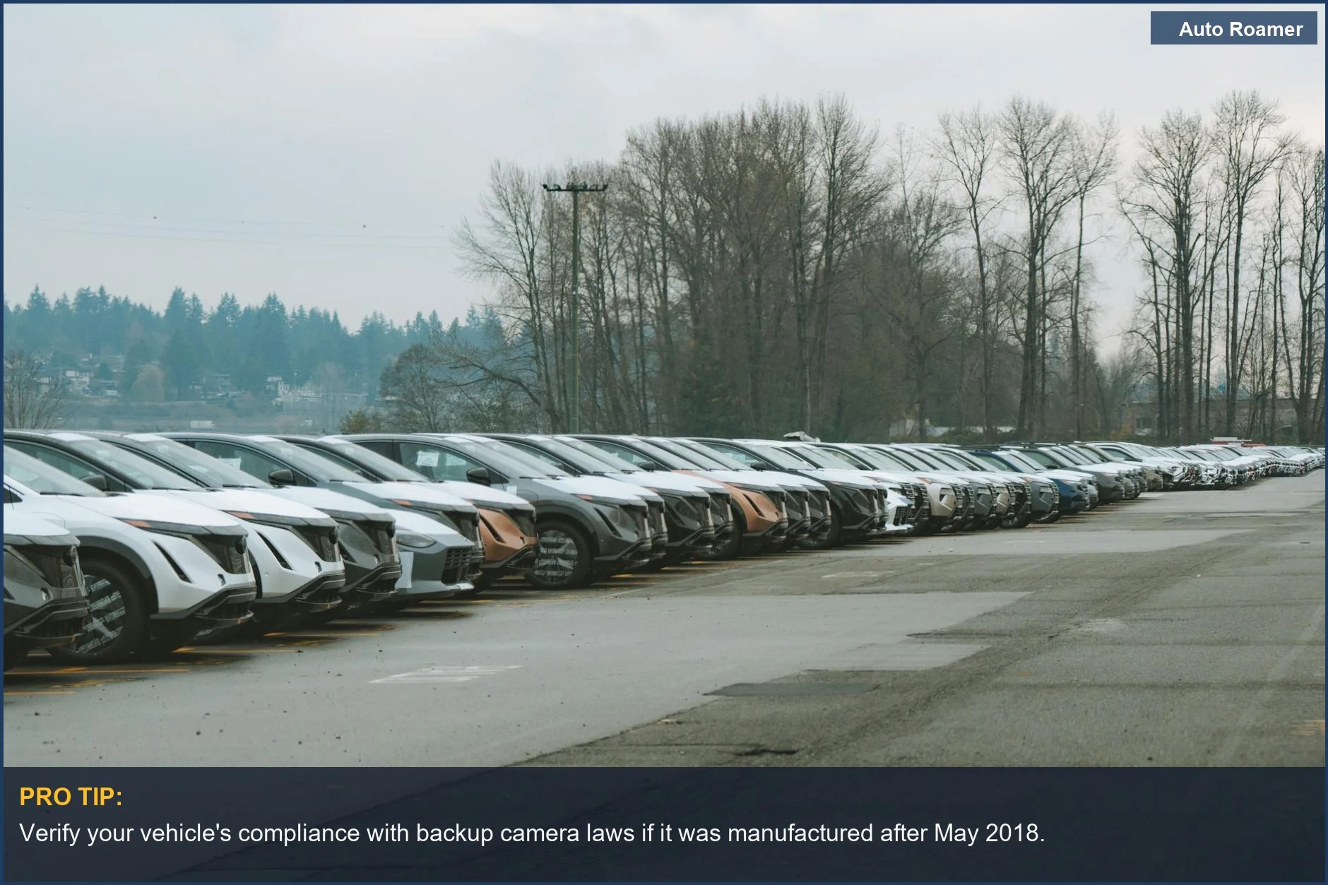 A row of parked cars outdoors, demonstrating the necessity for backup cameras in modern vehicles.