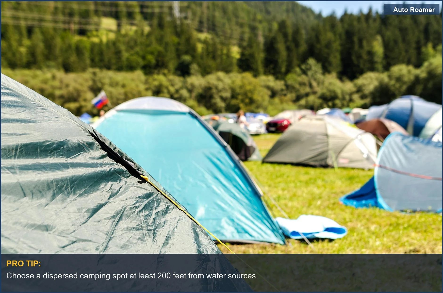Colorful camping tents on BLM land nestled in a lush forest landscape.