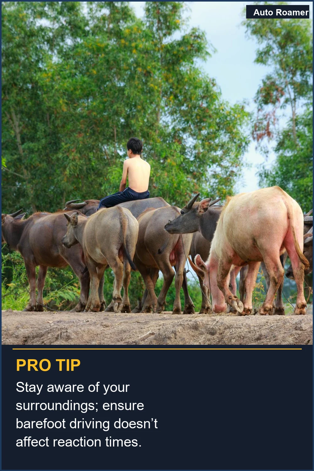 Stay aware of your surroundings; ensure barefoot driving doesn't affect reaction times.