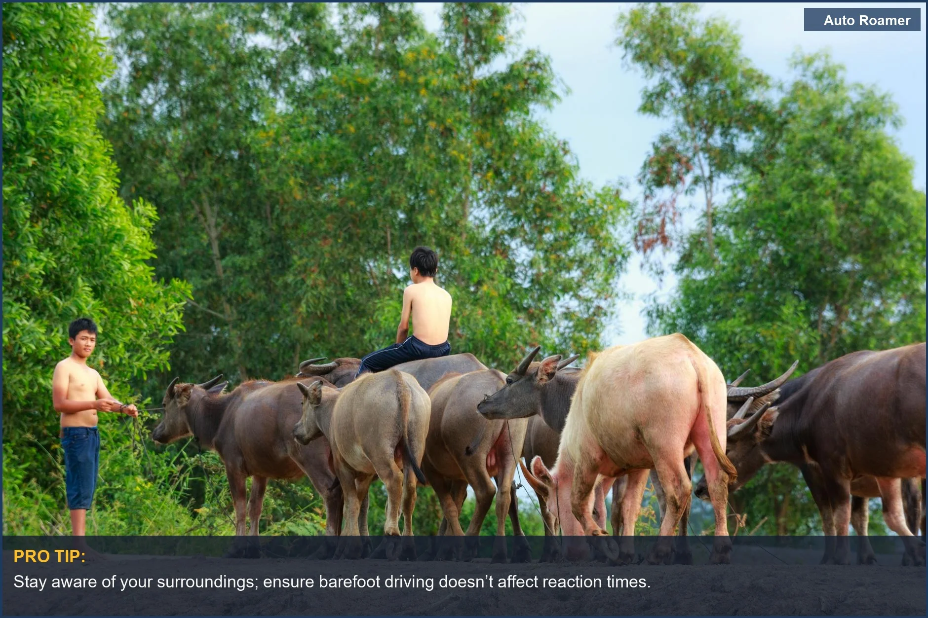 Two young men in a rural setting, emphasizing the casual approach to driving barefoot.