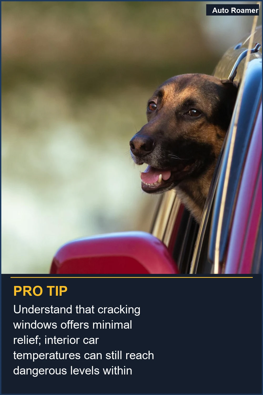Understand that cracking windows offers minimal relief; interior car temperatures can still reach dangerous levels within minutes.