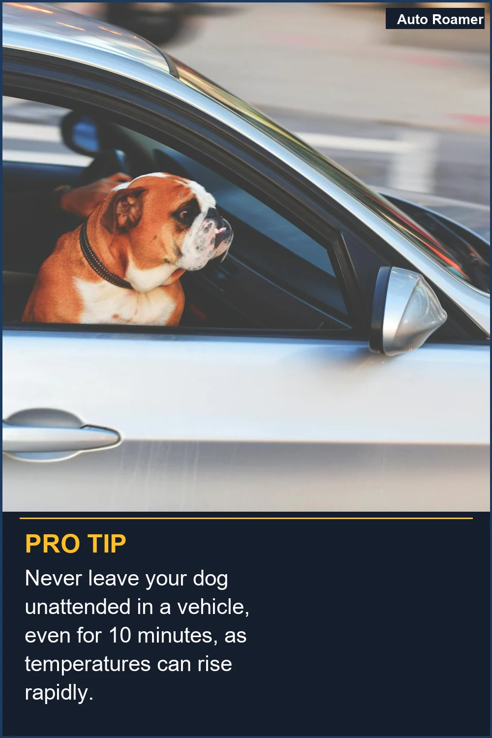 Never leave your dog unattended in a vehicle, even for 10 minutes, as temperatures can rise rapidly.