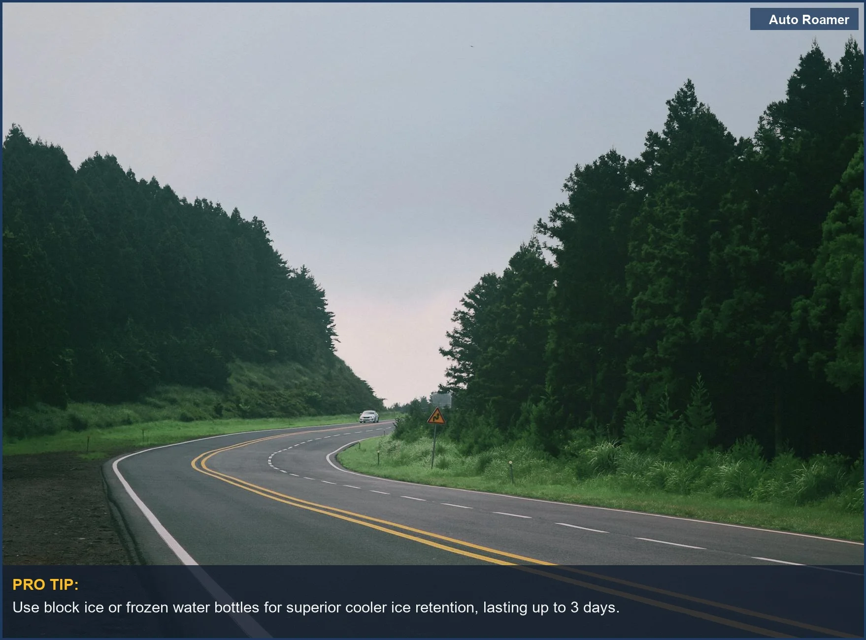Winding forest road, symbolizing the journey to a campsite where cooler ice retention is crucial for food.