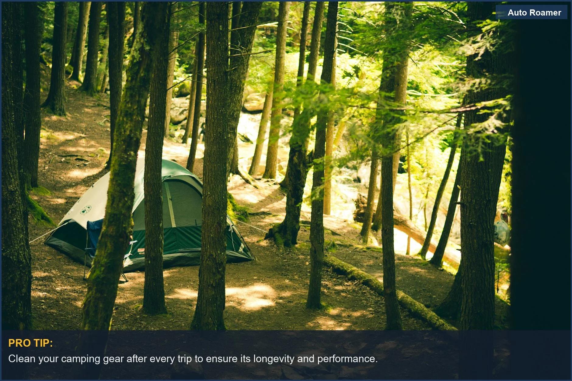 A peaceful camping site with a tent nestled among tall forest trees.