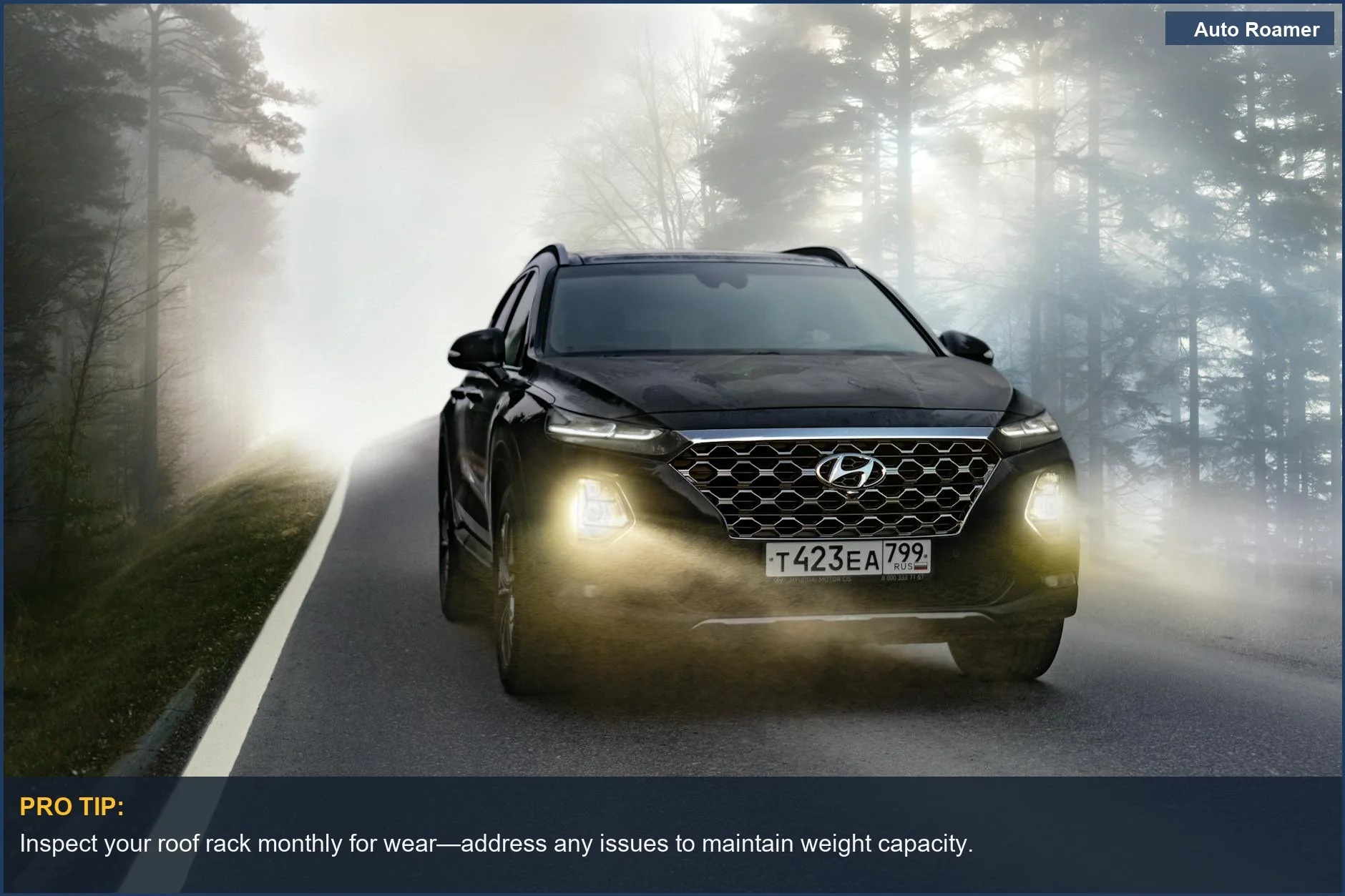 Black SUV navigating misty forest road, emphasizing the need for durable roof racks.