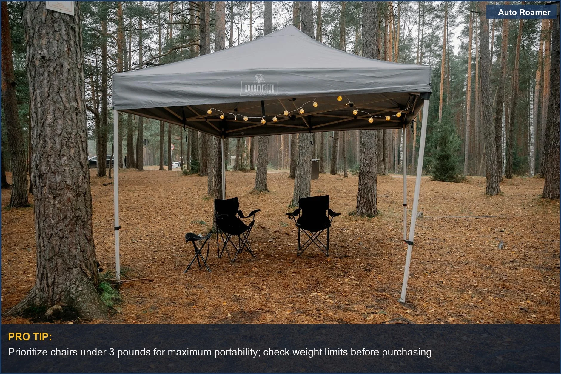 Relaxing canopy tent and chairs at a serene forest campsite.