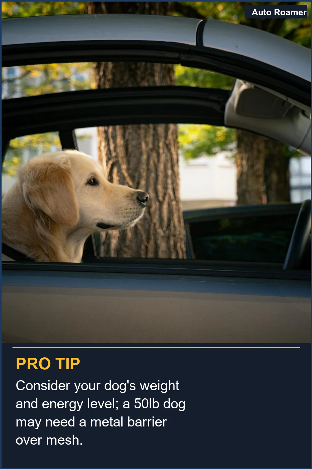 Consider your dog's weight and energy level; a 50lb dog may need a metal barrier over mesh.