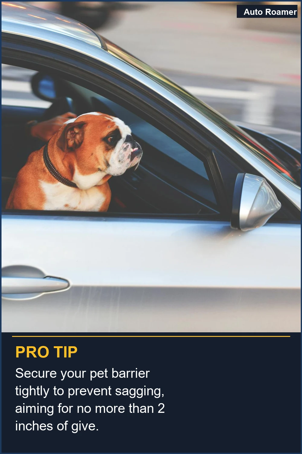 Secure your pet barrier tightly to prevent sagging, aiming for no more than 2 inches of give.