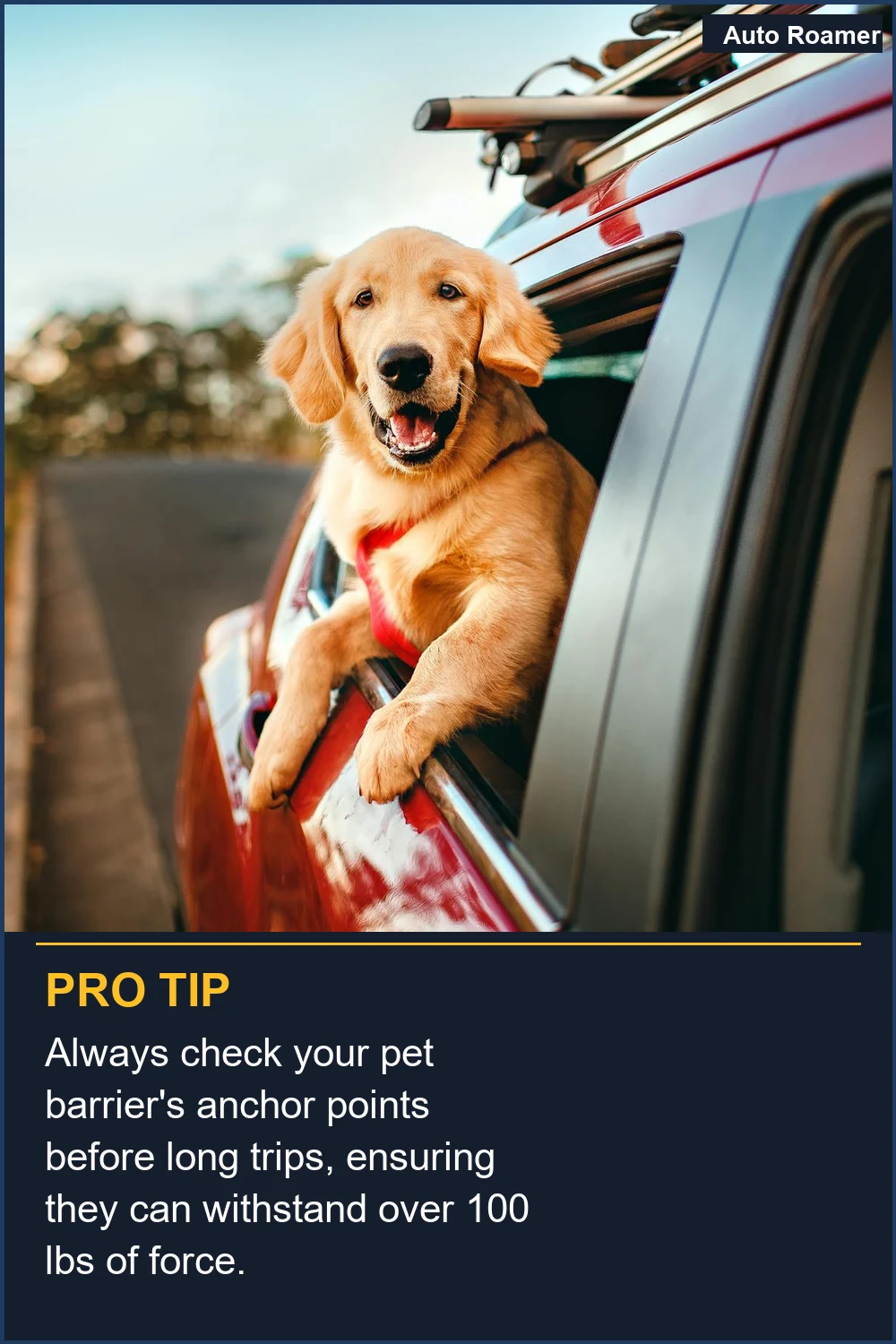 Always check your pet barrier's anchor points before long trips, ensuring they can withstand over 100 lbs of force.