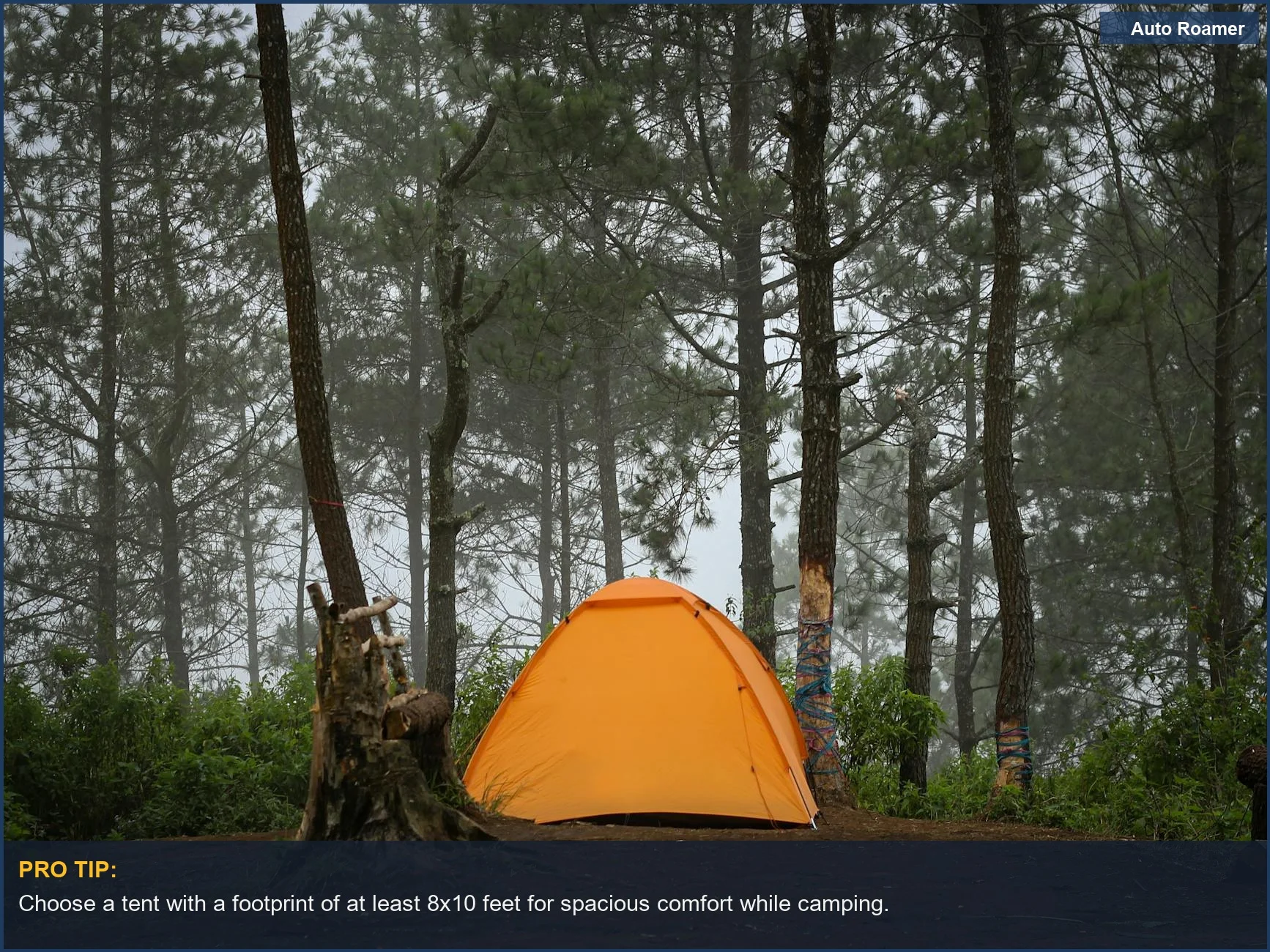 Bright orange tent set in a misty forest, ideal for camping with Mercedes accessories.