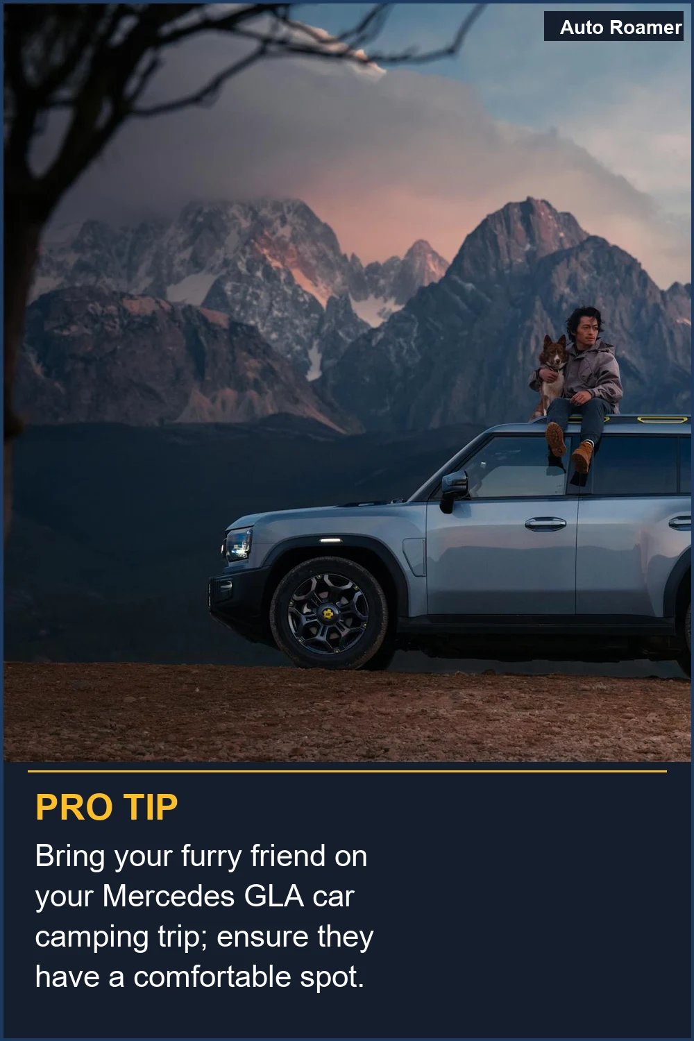 Bring your furry friend on your Mercedes GLA car camping trip; ensure they have a comfortable spot.