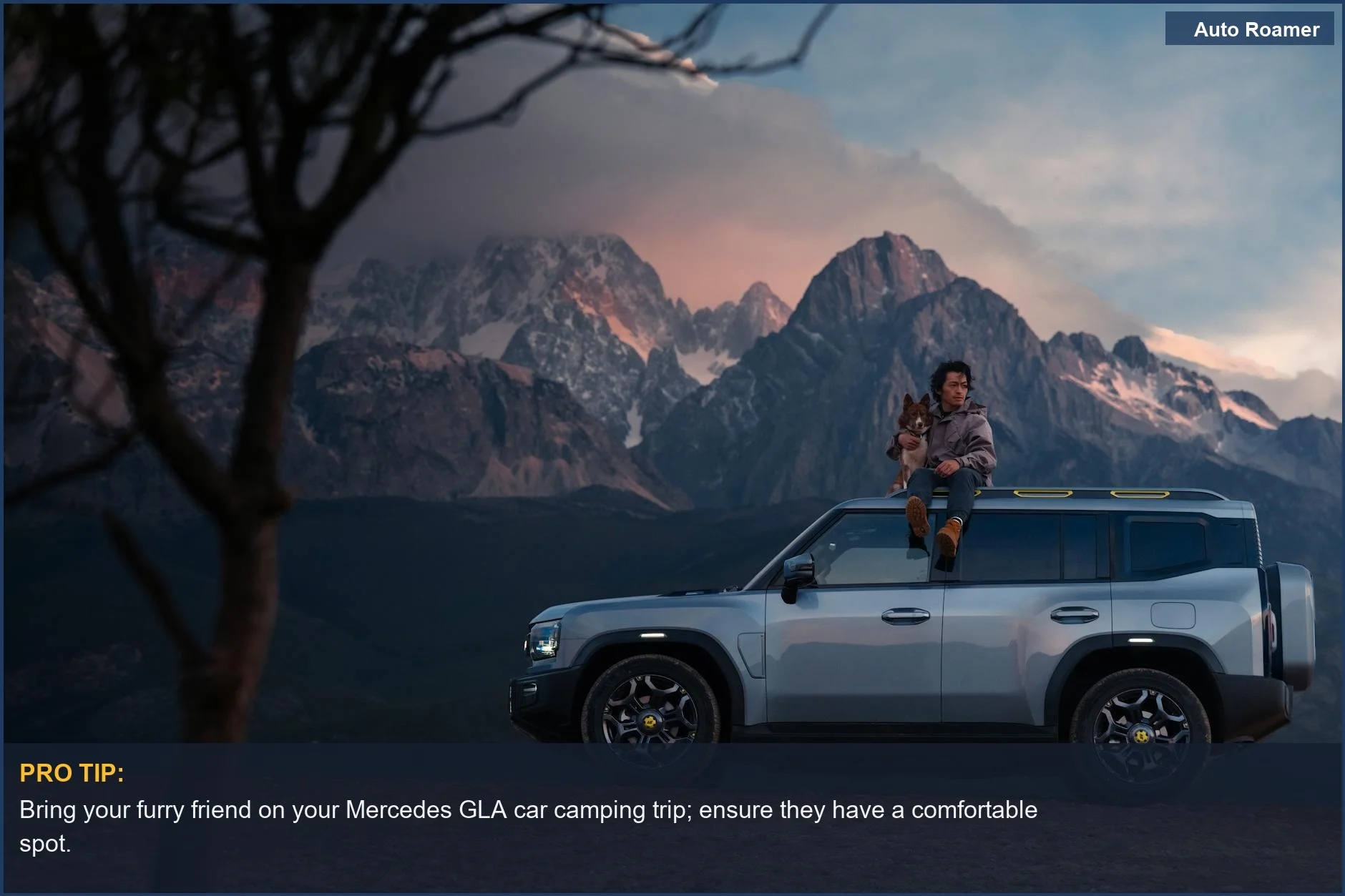 Person and dog on a Mercedes GLA SUV with mountain twilight backdrop, perfect for car camping adventures.