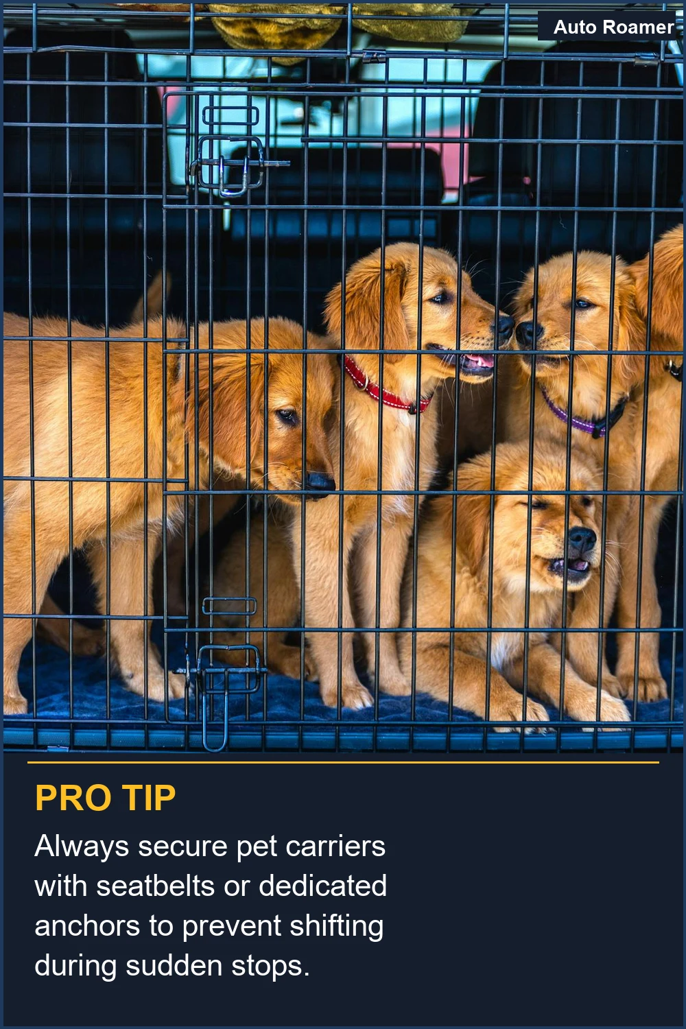 Always secure pet carriers with seatbelts or dedicated anchors to prevent shifting during sudden stops.