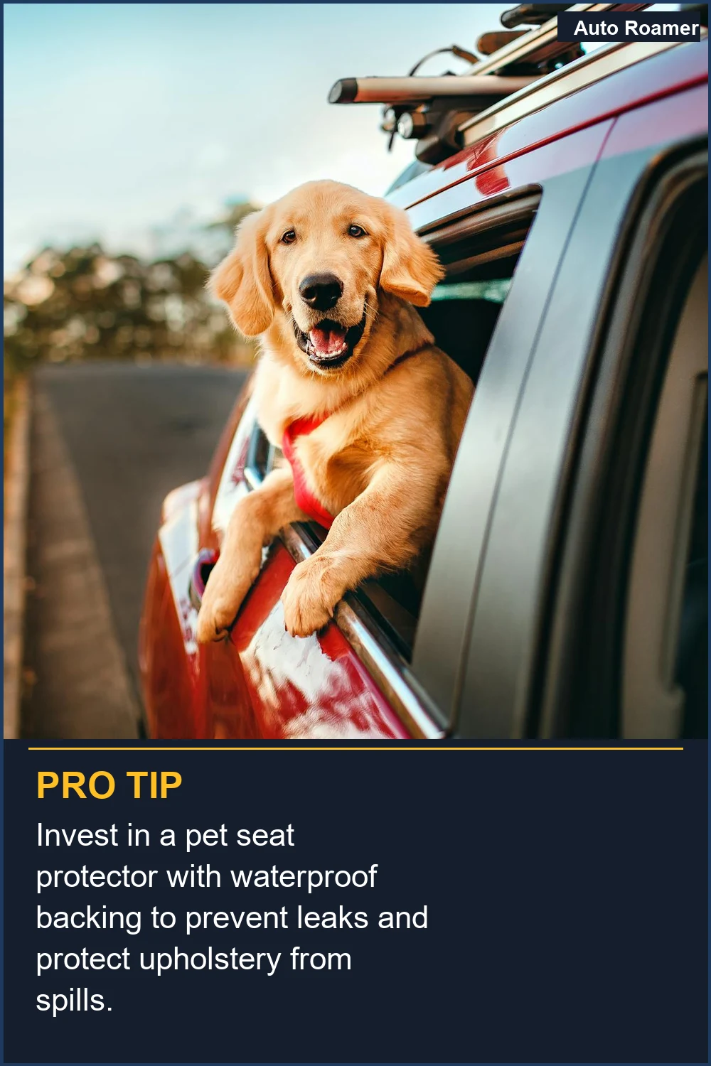 Invest in a pet seat protector with waterproof backing to prevent leaks and protect upholstery from spills.