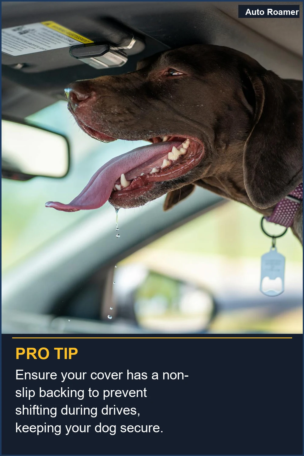 Ensure your cover has a non-slip backing to prevent shifting during drives, keeping your dog secure.