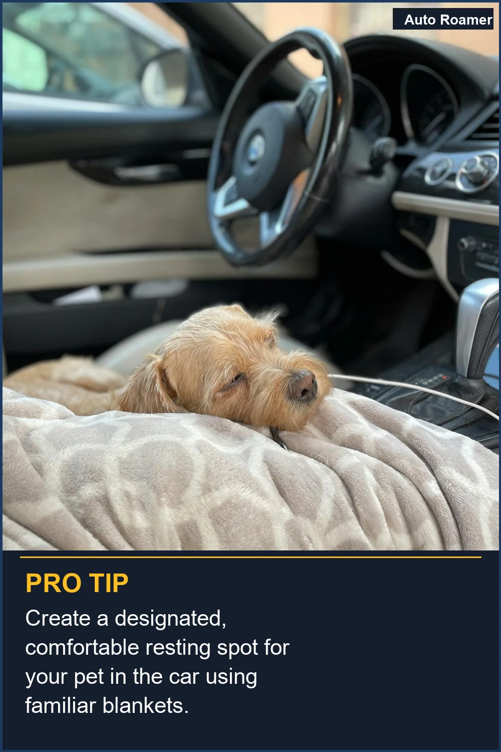 Crea un lugar de descanso designado y cómodo para tu mascota en el coche usando mantas familiares.