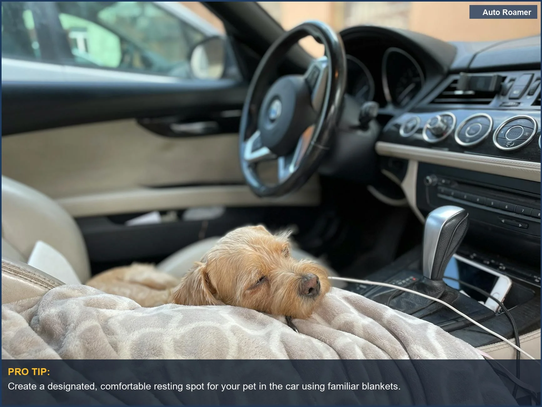 Perro cómodo durmiendo en una manta en un coche, demostrando una configuración preparada para viajar con una mascota enferma.