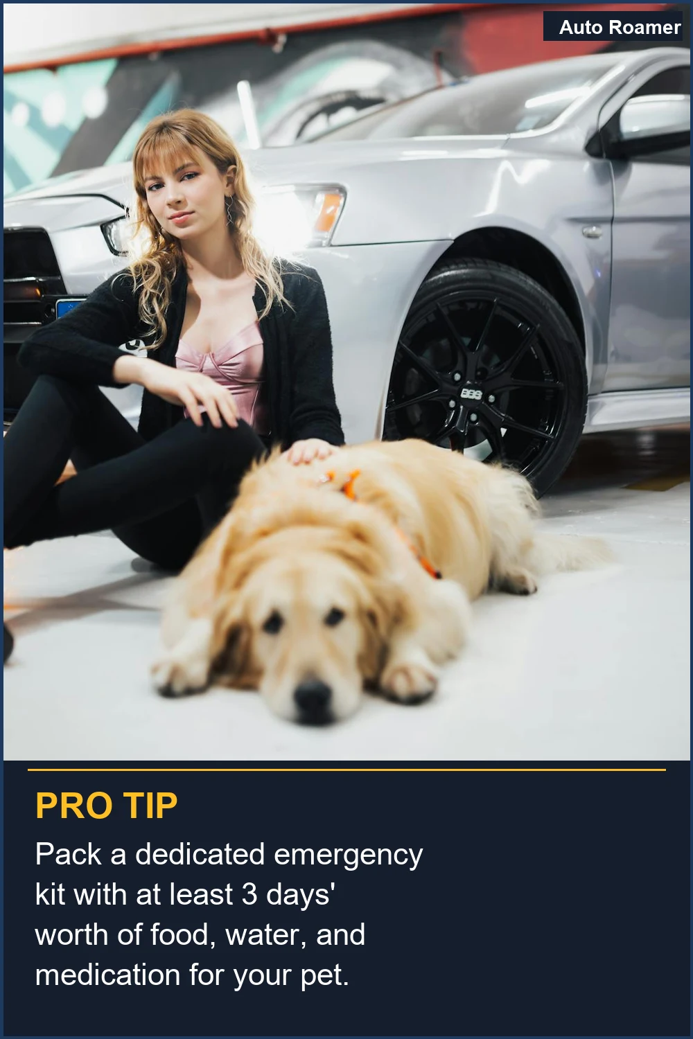 Empaca un kit de emergencia dedicado con al menos 3 días de comida, agua y medicamentos para tu mascota.