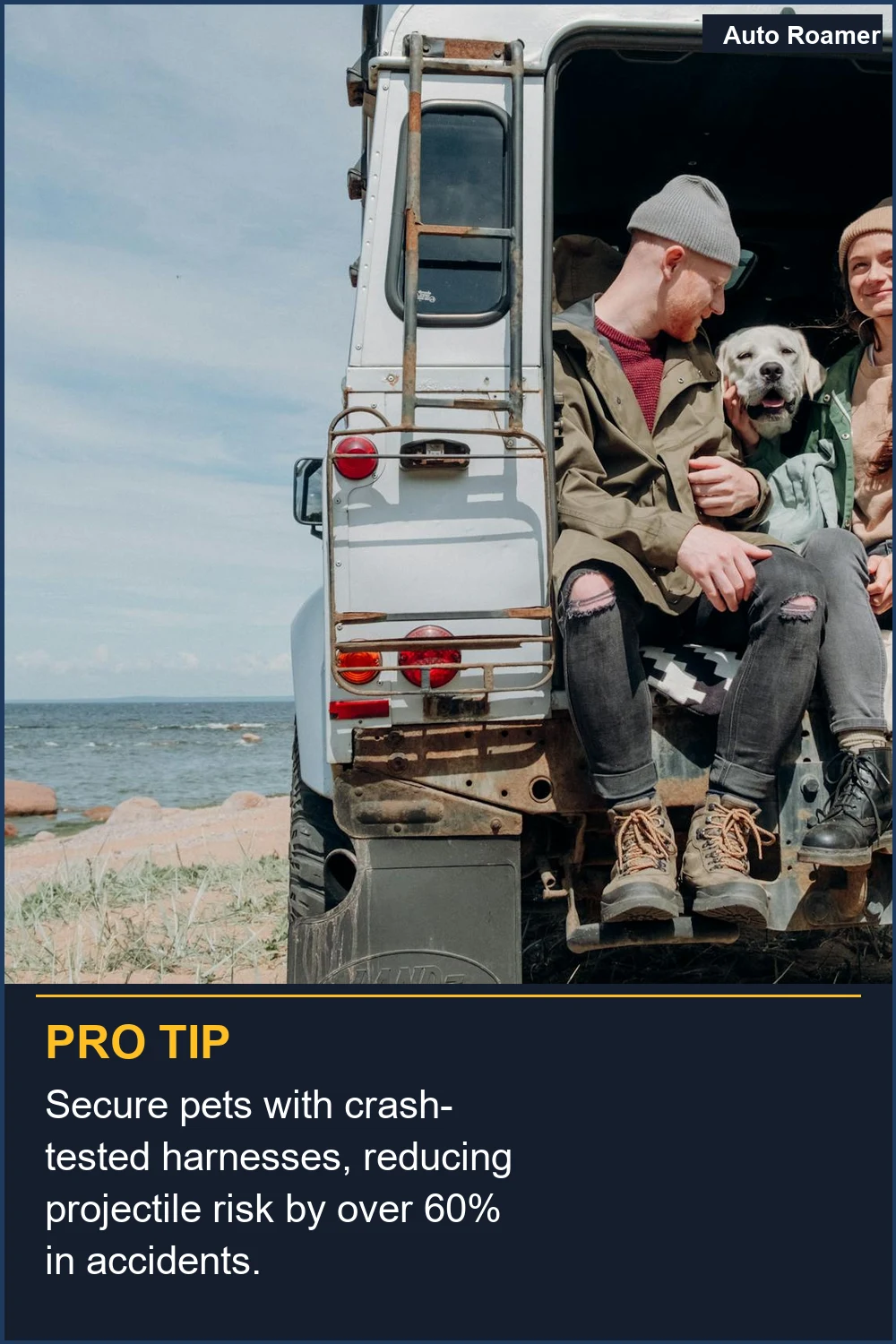 Secure pets with crash-tested harnesses, reducing projectile risk by over 60% in accidents.