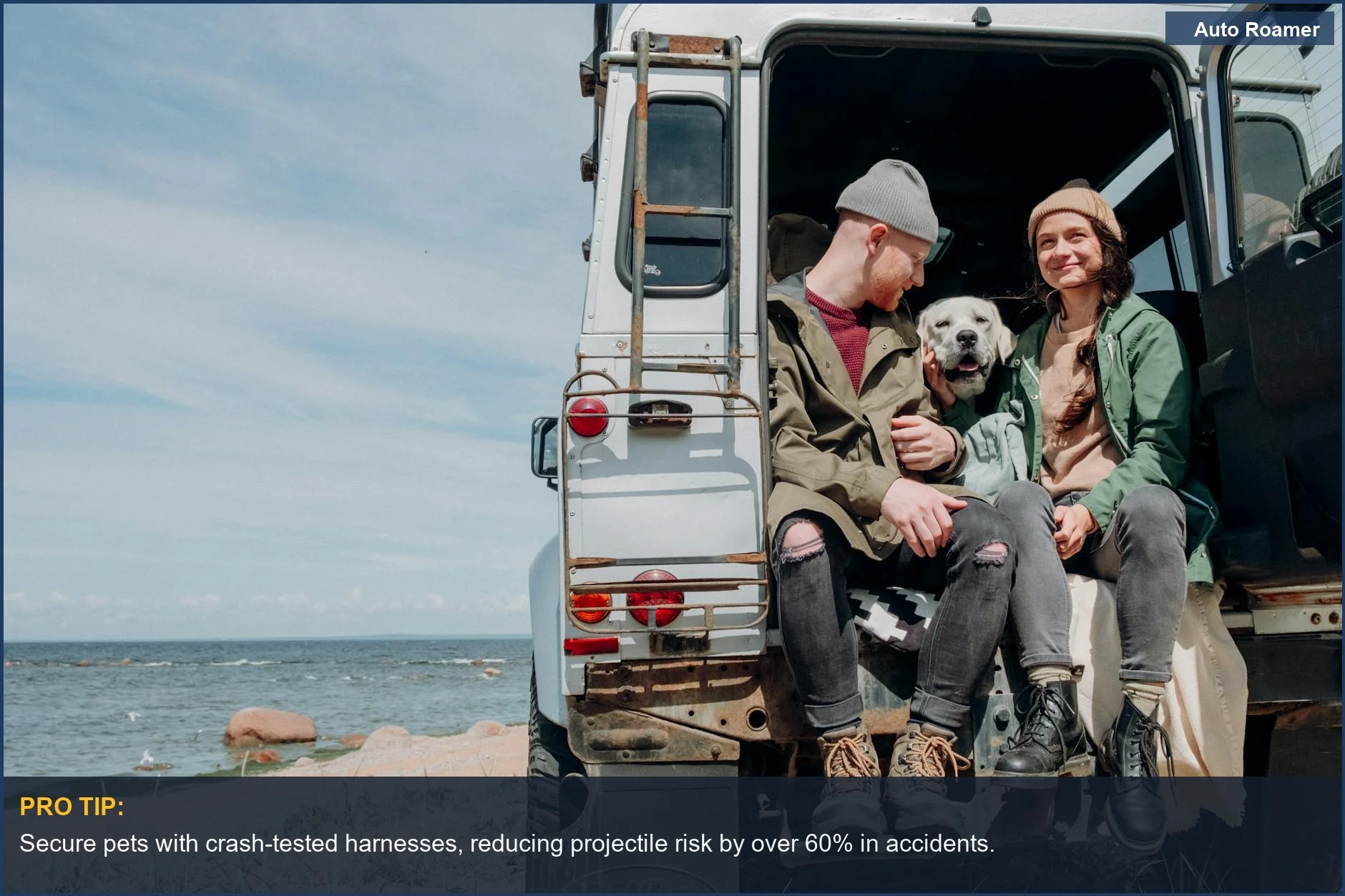 Couple with dog in SUV at the beach, showcasing pet travel safety gear for car resale.