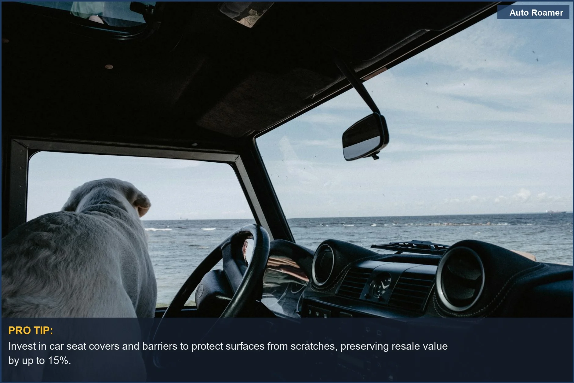 Dog enjoying ocean view from car window, illustrating pet travel accessories for car resale.