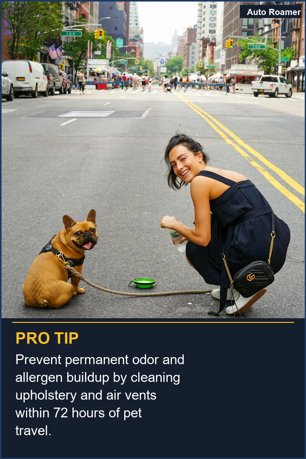 Prevent permanent odor and allergen buildup by cleaning upholstery and air vents within 72 hours of pet travel.