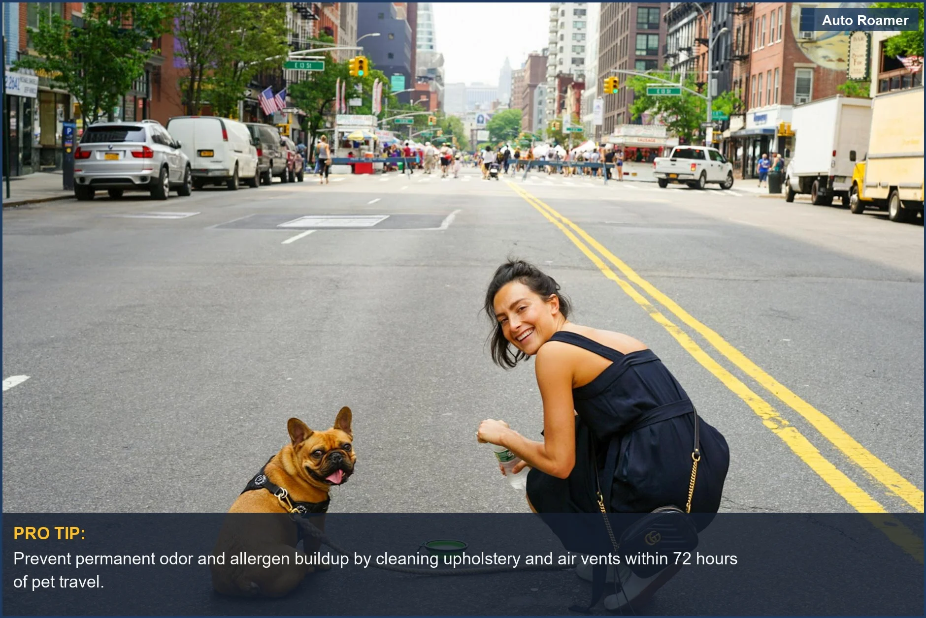 French Bulldog on a city street, highlighting pet travel accessories' impact on car value.
