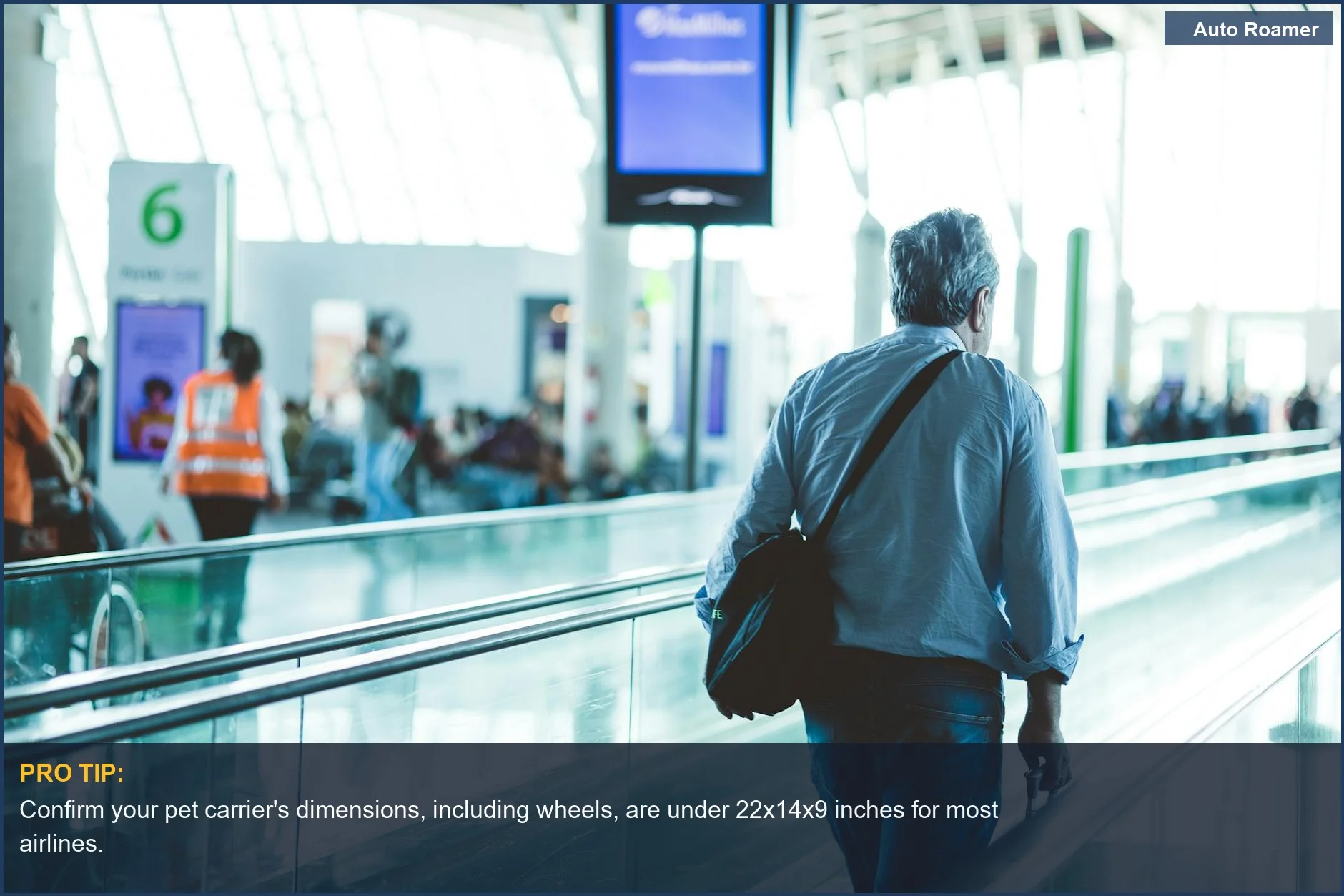 Man with a wheeled airline pet carrier on an airport travelator, navigating in-cabin pet travel.