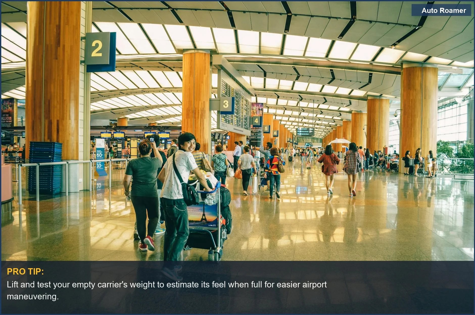 Busy Singapore Changi Airport terminal showcasing travelers with luggage, hinting at the challenges of in-cabin pet travel.