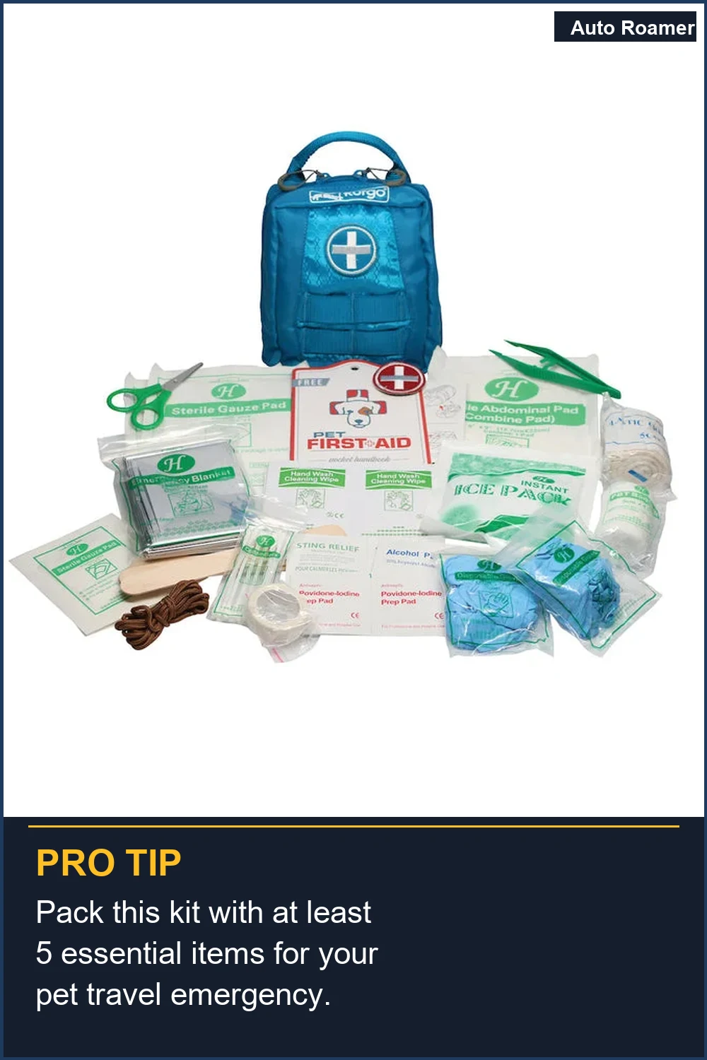 Pack this kit with at least 5 essential items for your pet travel emergency.