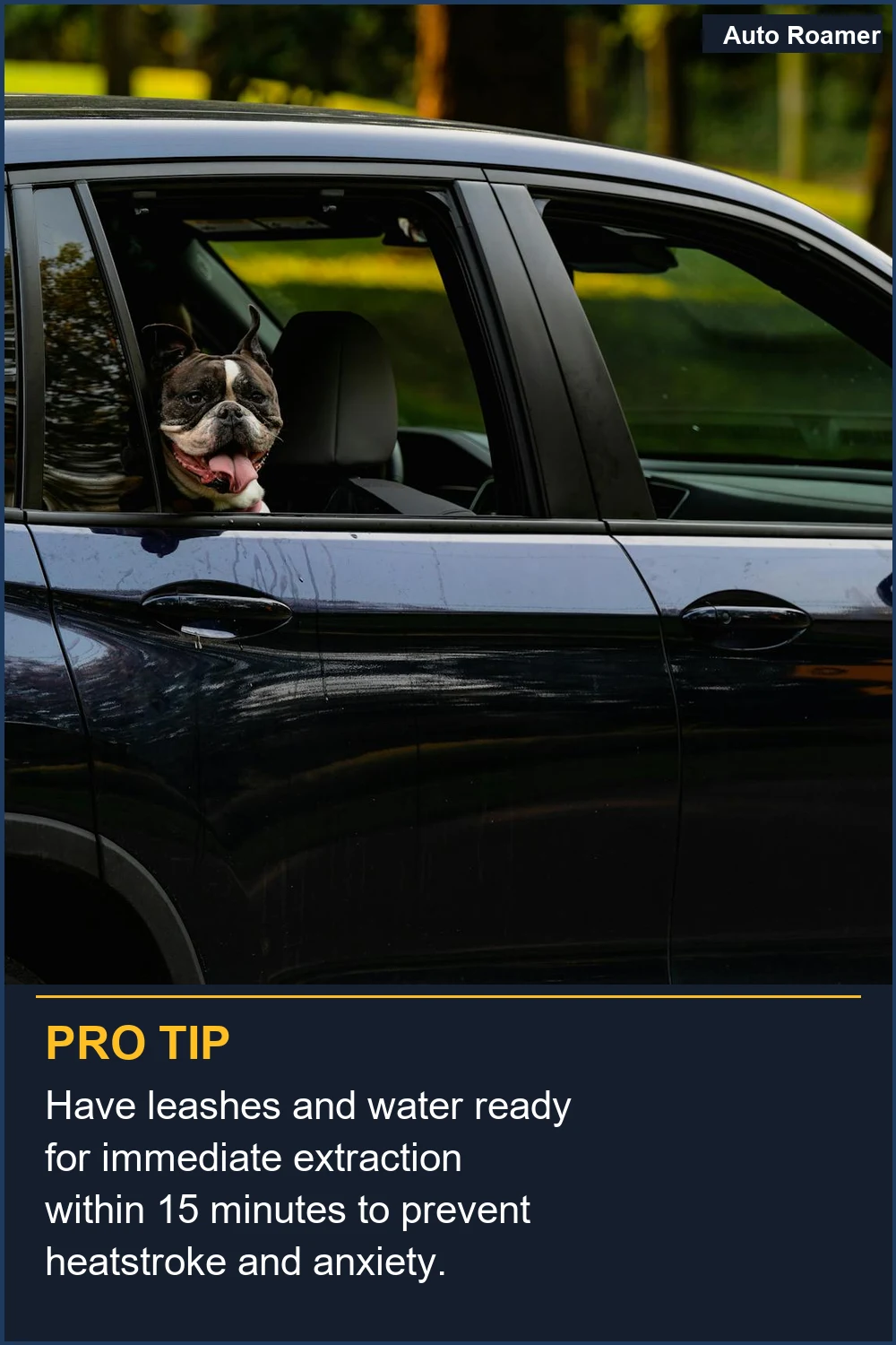 Have leashes and water ready for immediate extraction within 15 minutes to prevent heatstroke and anxiety.