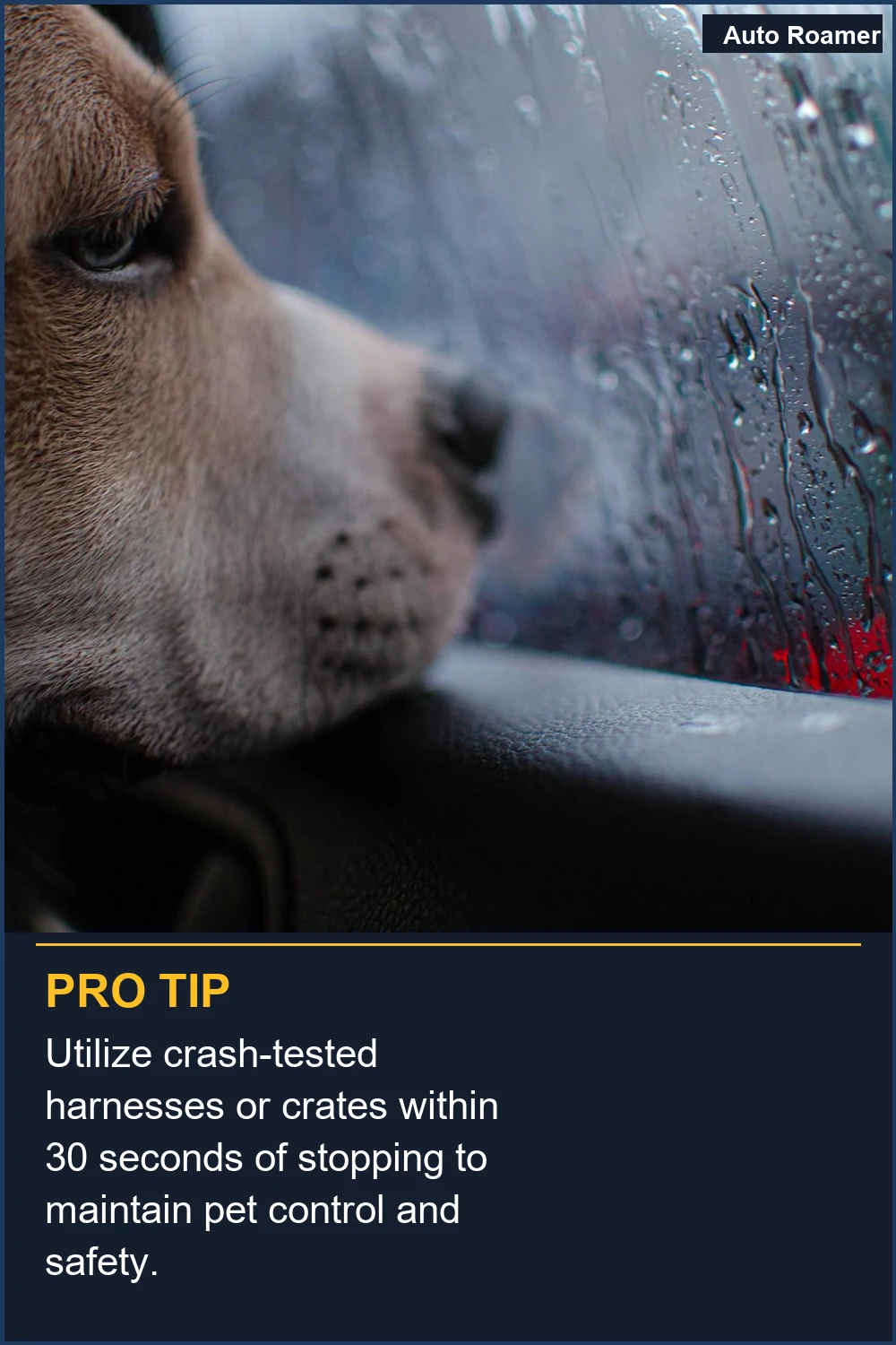 Utilize crash-tested harnesses or crates within 30 seconds of stopping to maintain pet control and safety.