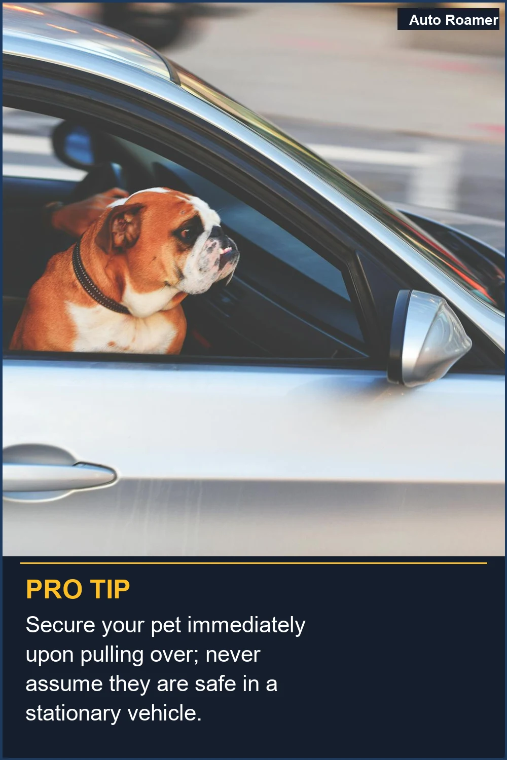 Secure your pet immediately upon pulling over; never assume they are safe in a stationary vehicle.